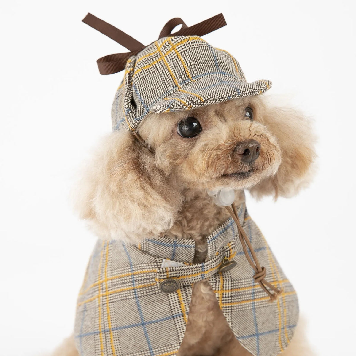 Camel coloured cotton pet cloak with adjustable hat for dogs, showing size options from S to 3XL