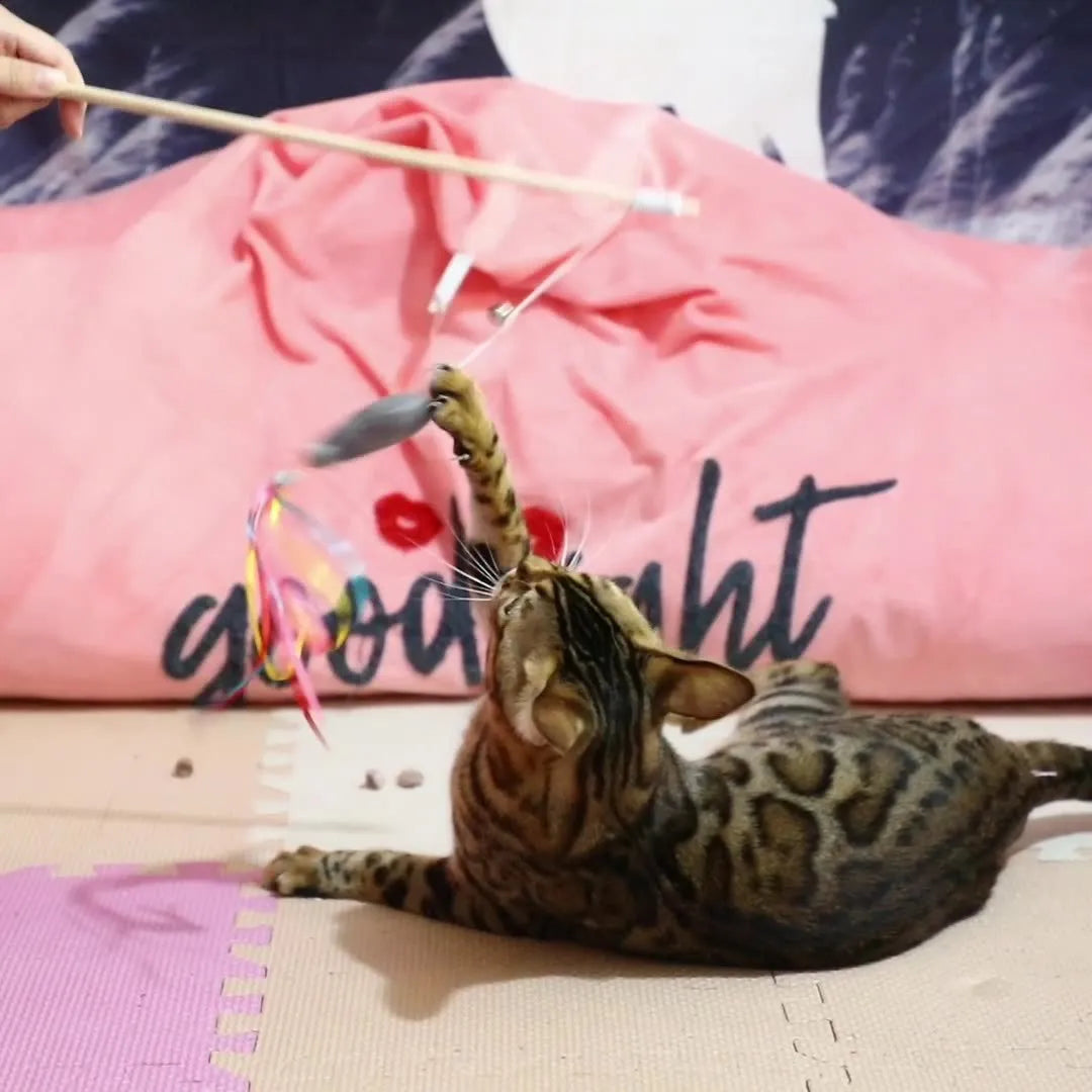 Cat wand toy with wooden handle, elastic string, catnip fish, colourful ribbons and metal bell