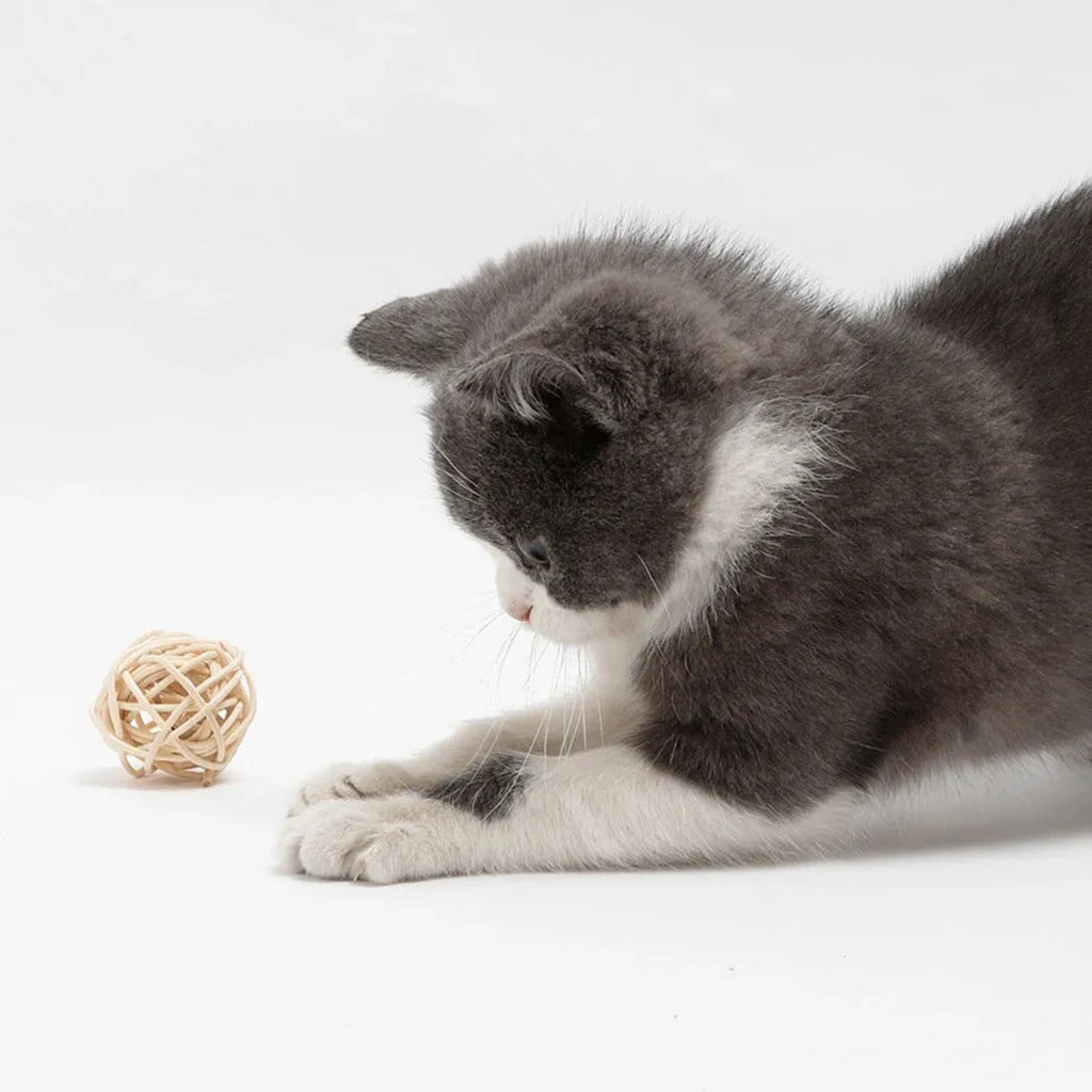 Two cat toys: rattan ball and faux feather bell ball for interactive play