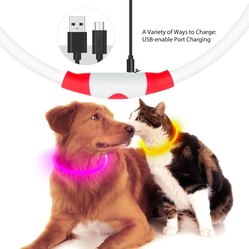 USB rechargeable LED dog collar showing blue illuminated band with adjustable 70cm length for night walking safety