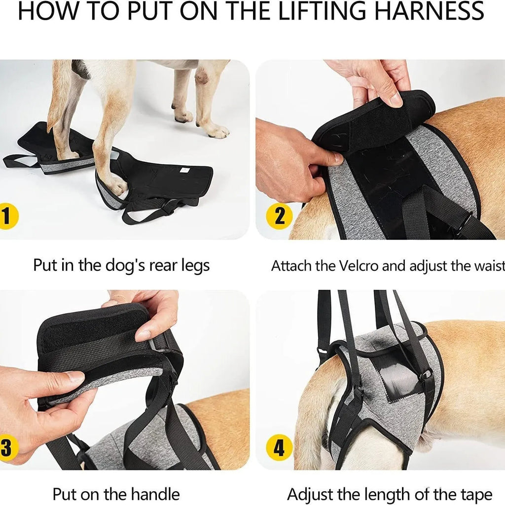 Grey neoprene adjustable dog hind leg recovery belt shown on size chart