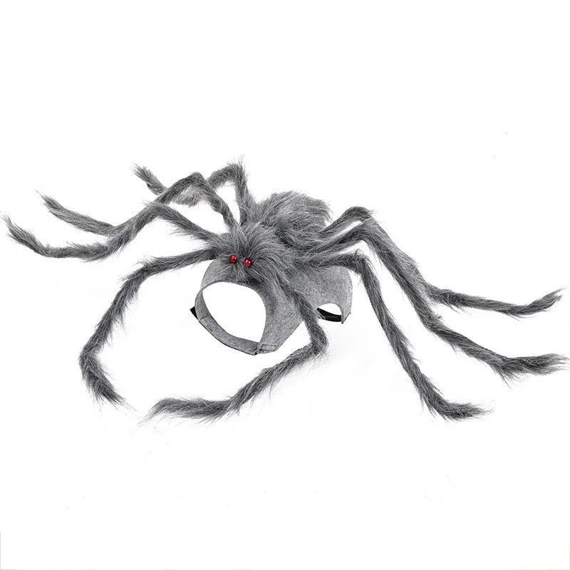 Halloween spider costume for pets in four colour options with size choices