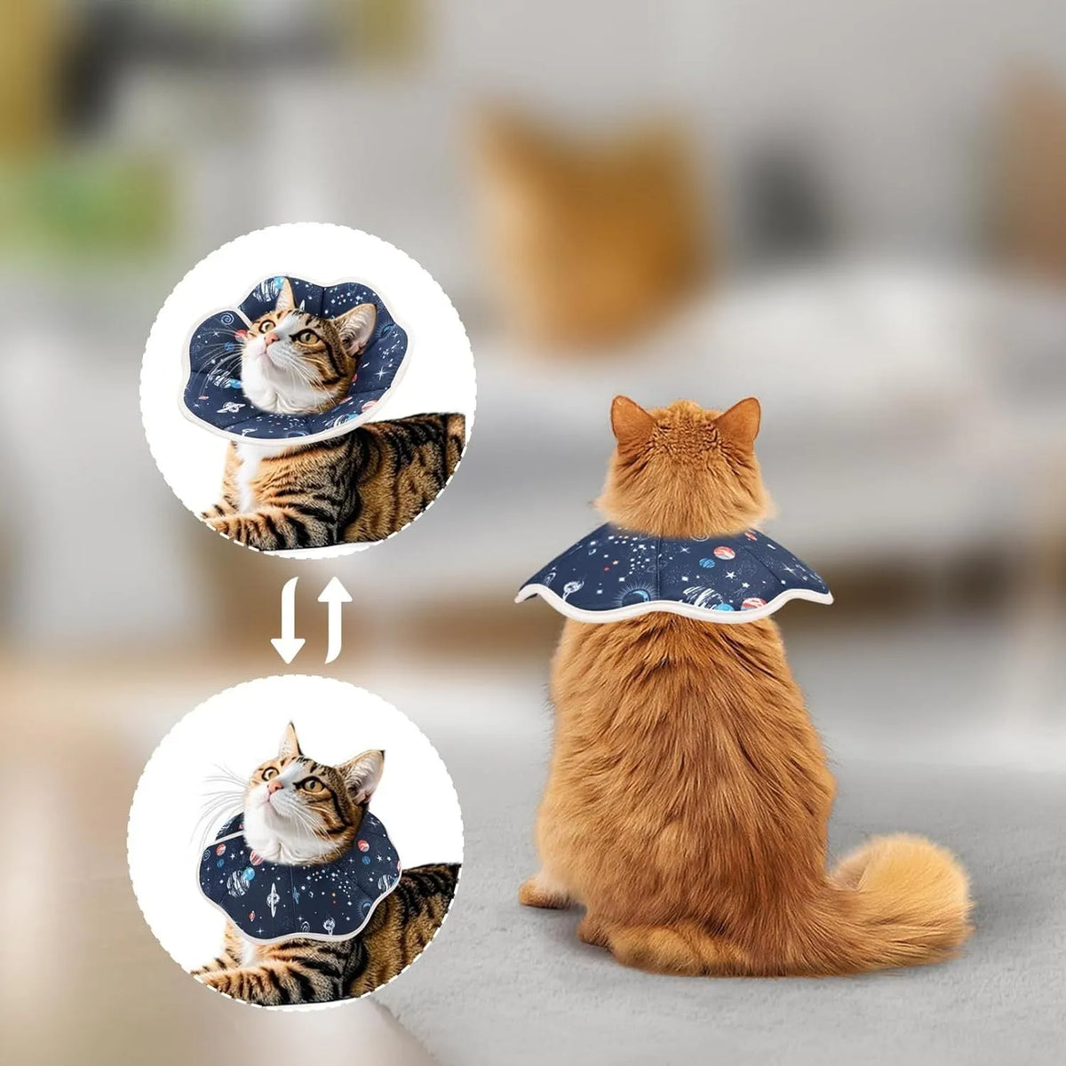 Soft adjustable fabric cat recovery collar cone in Constellation colour for post-surgery protection