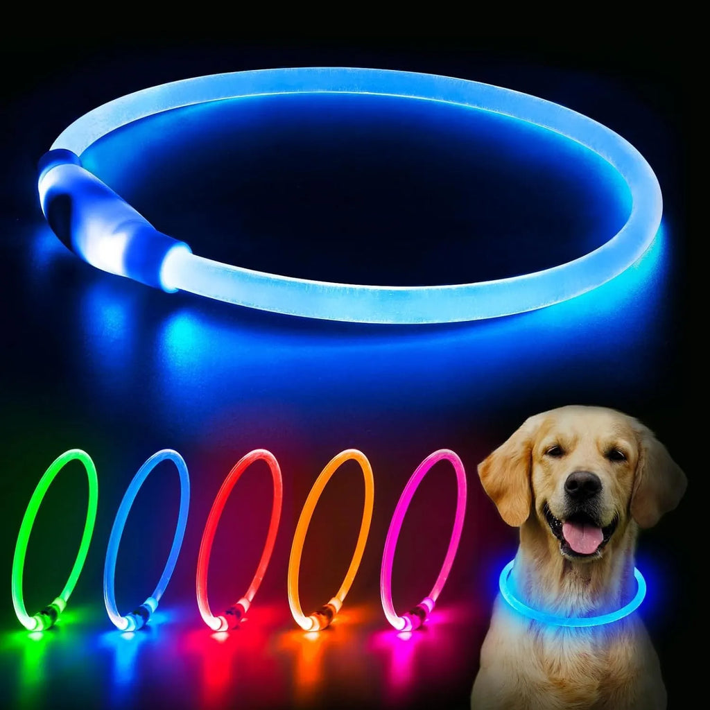 USB rechargeable LED dog collar showing blue illuminated band with adjustable 70cm length for night walking safety