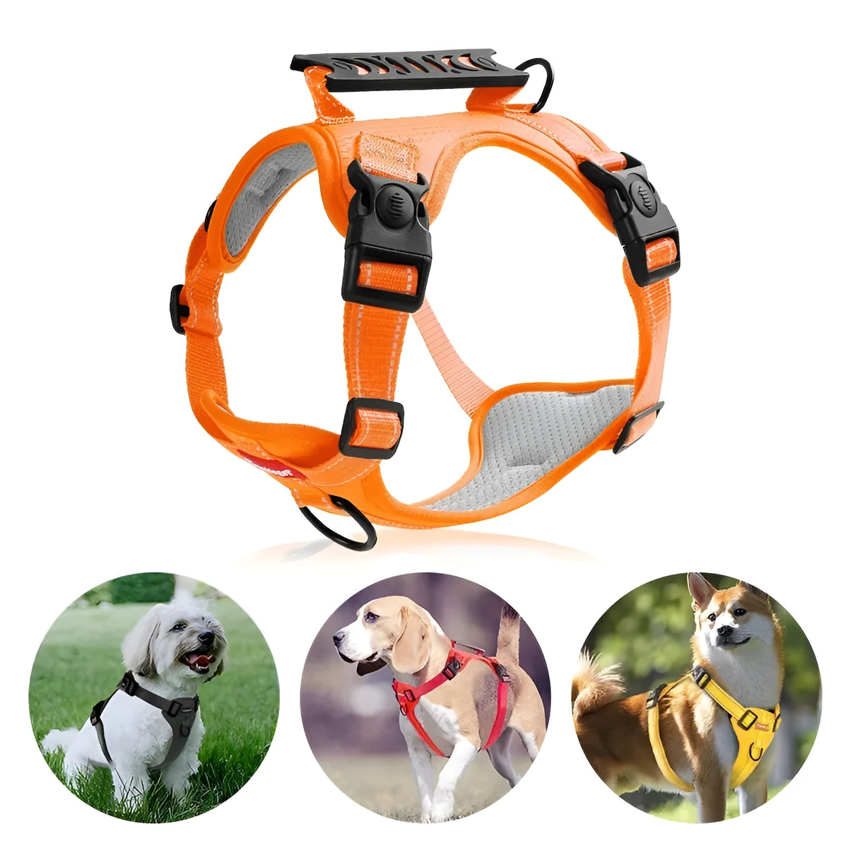 Polyester dog harness and lead set in multiple colours with chest strap design for walking control