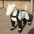 Black waterproof dog shoes with non-slip soles in six sizes for paw protection