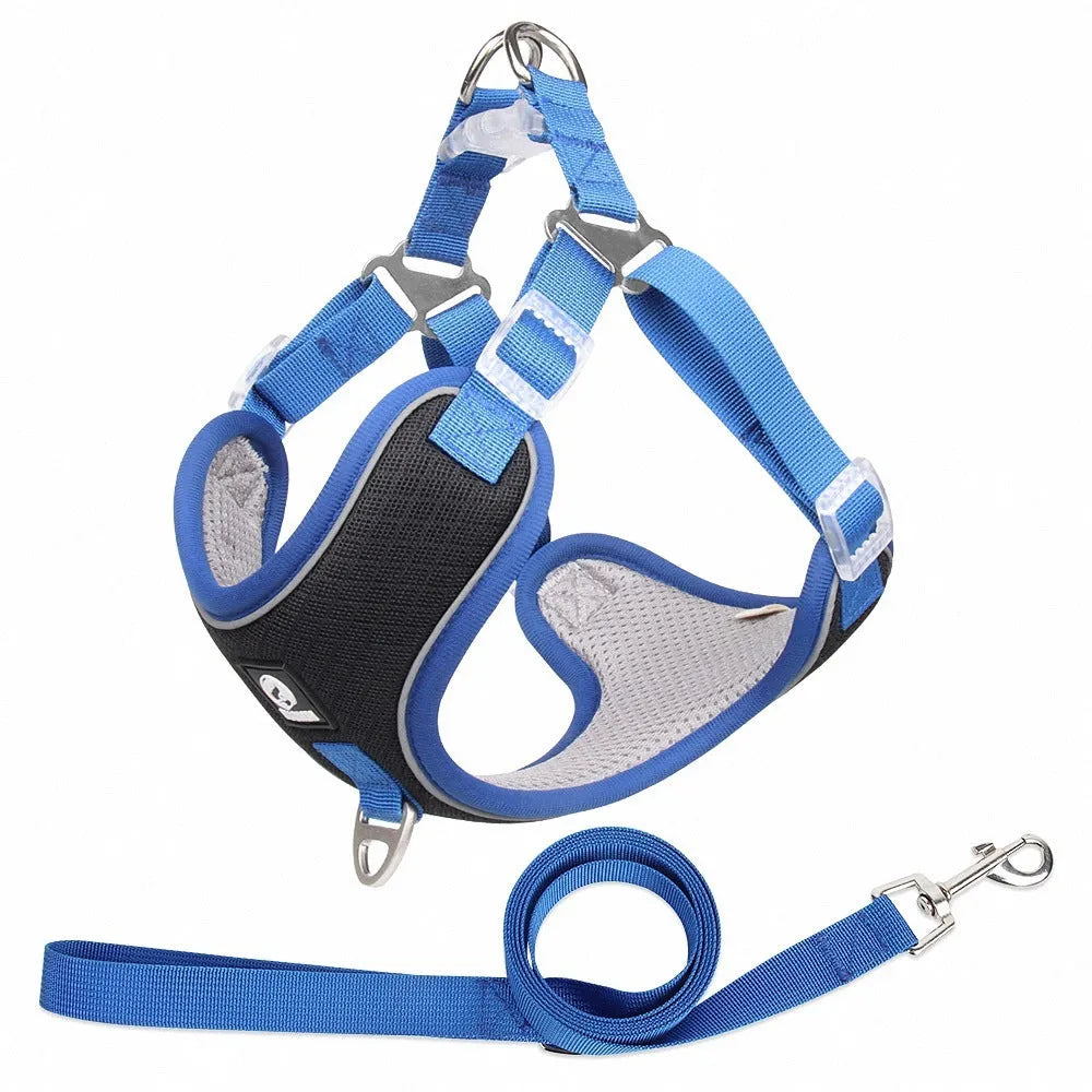 Adjustable dog harness with reflective piping and breathable mesh panels in multiple colour options