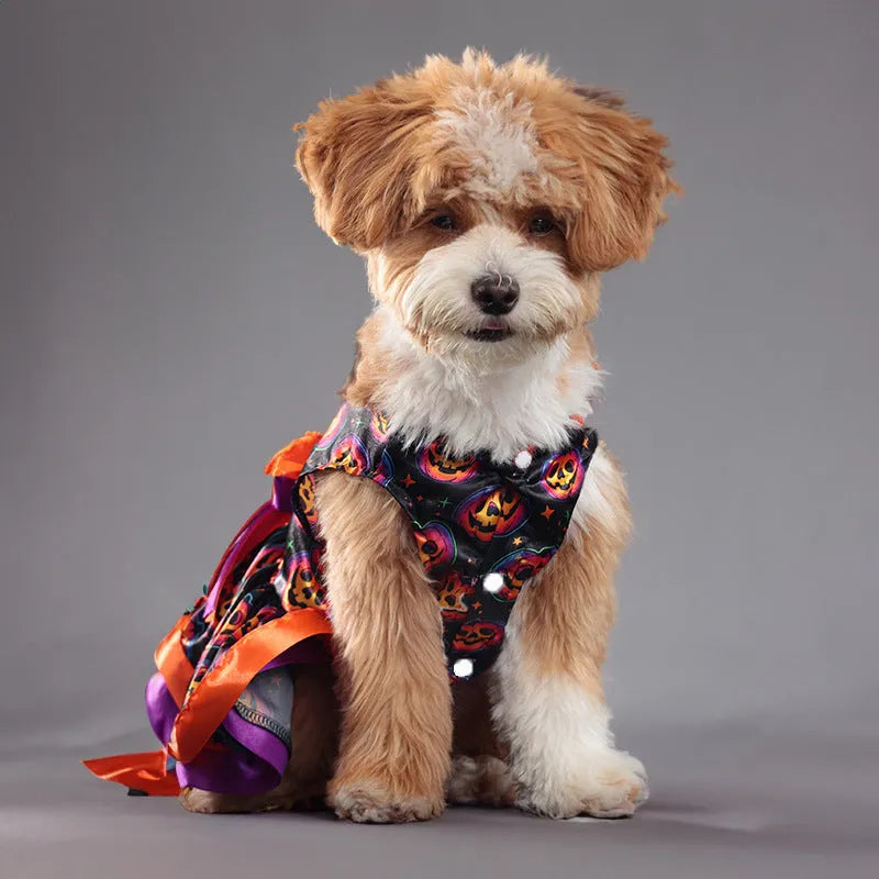 Halloween dog skirt with colourful pumpkin pattern and elastic waistband
