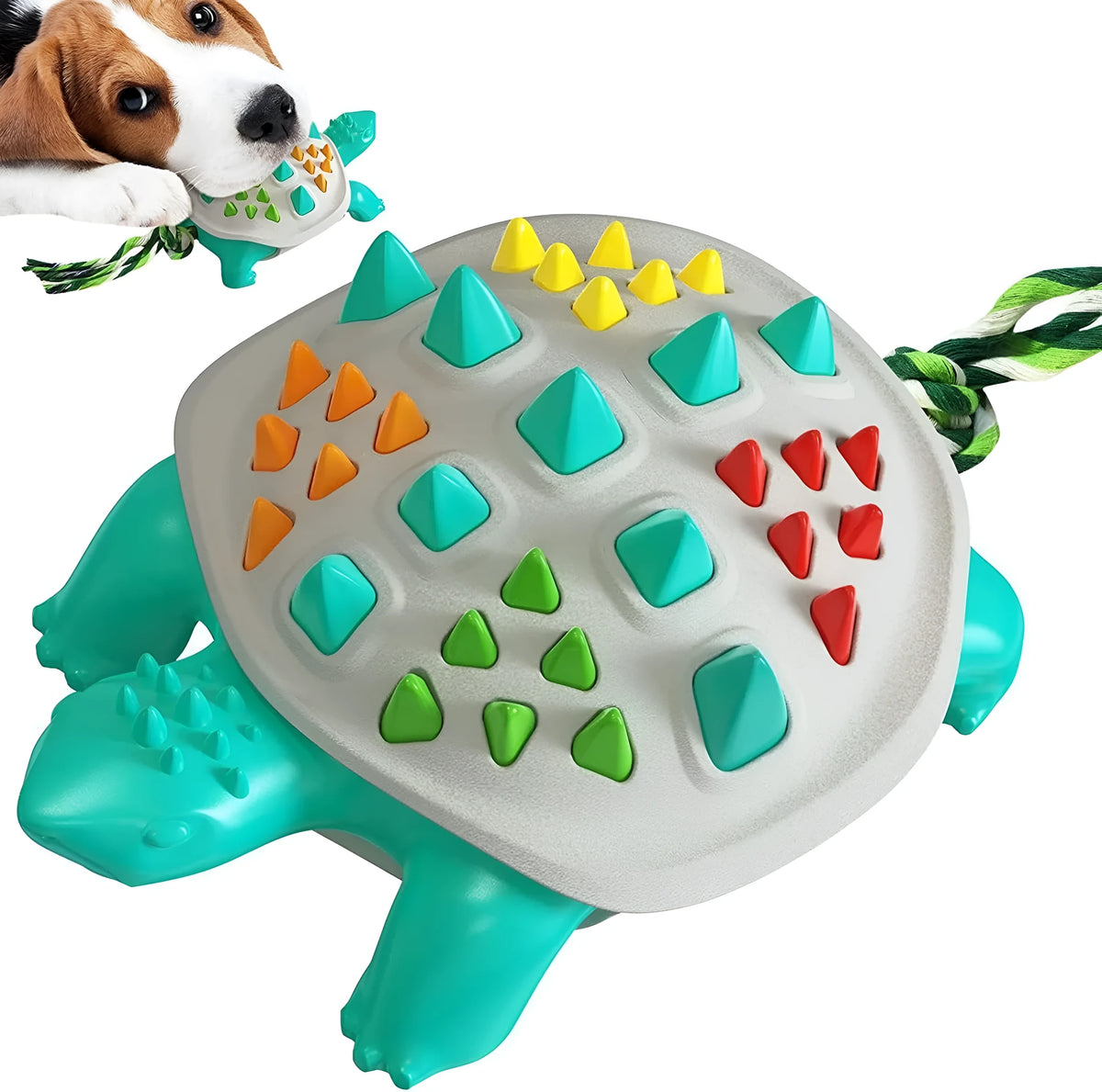 Natural rubber dog dental chew toy in assorted colours for plaque prevention and teeth cleaning.