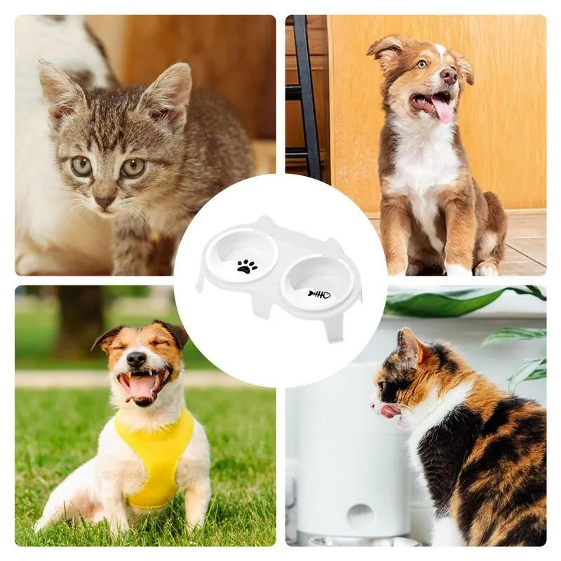 Ceramic elevated cat bowl set with tilted feeding platform on ABS stand in blue, pink, white, or yellow