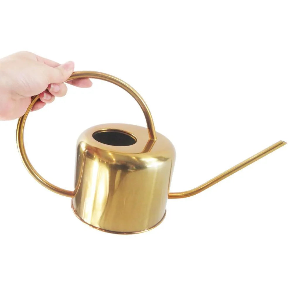 Stainless steel watering can with a long spout, holding 2 litres, shown in a garden setting.