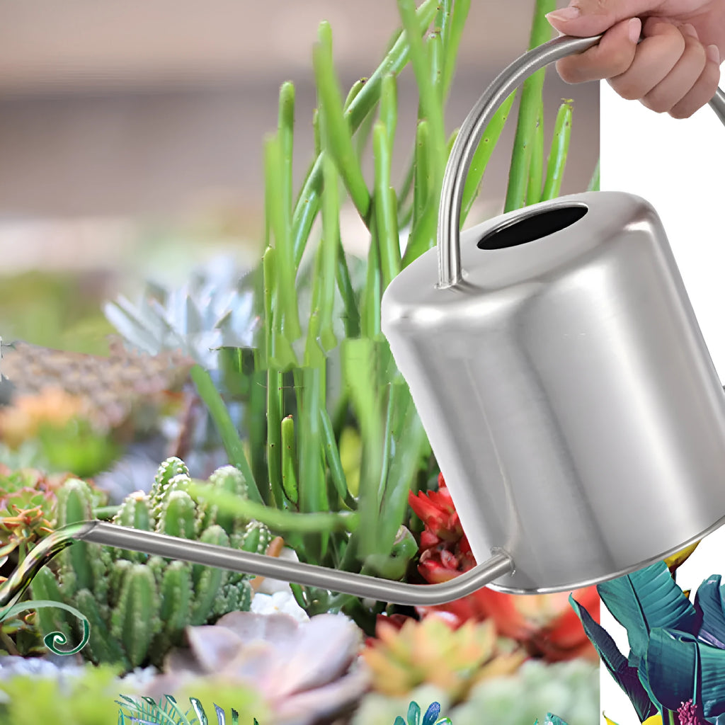 Stainless steel watering can with a long spout, holding 2 litres, shown in a garden setting.