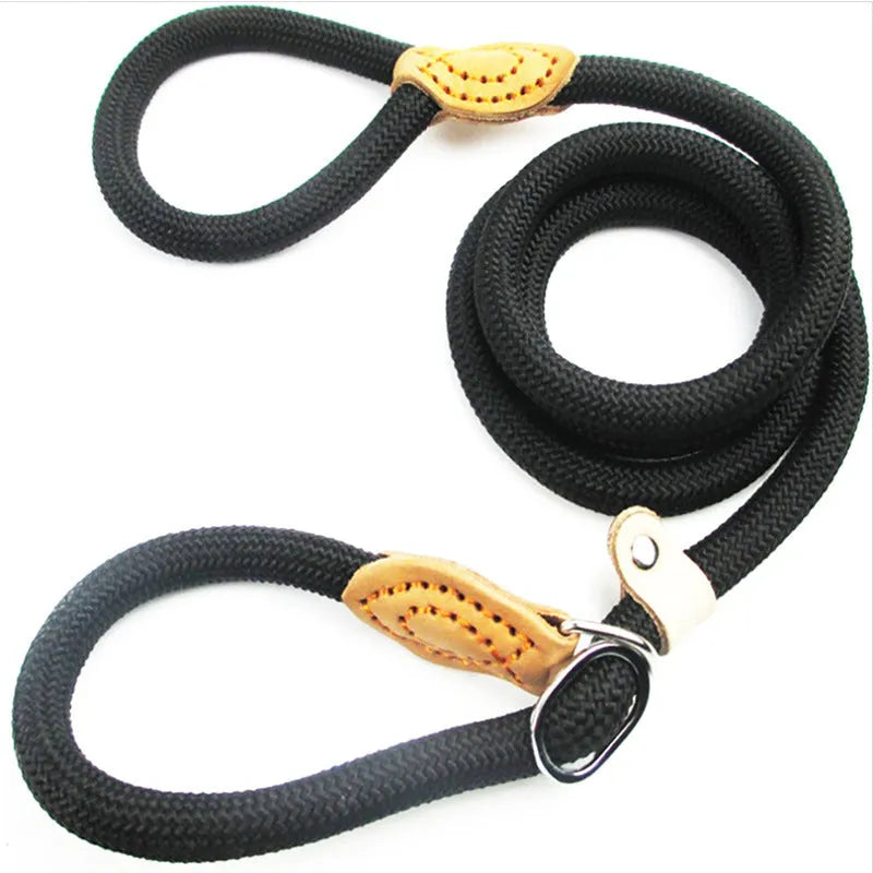 Brown nylon dog leash with hand-holding rope measuring 2.1 metres in length