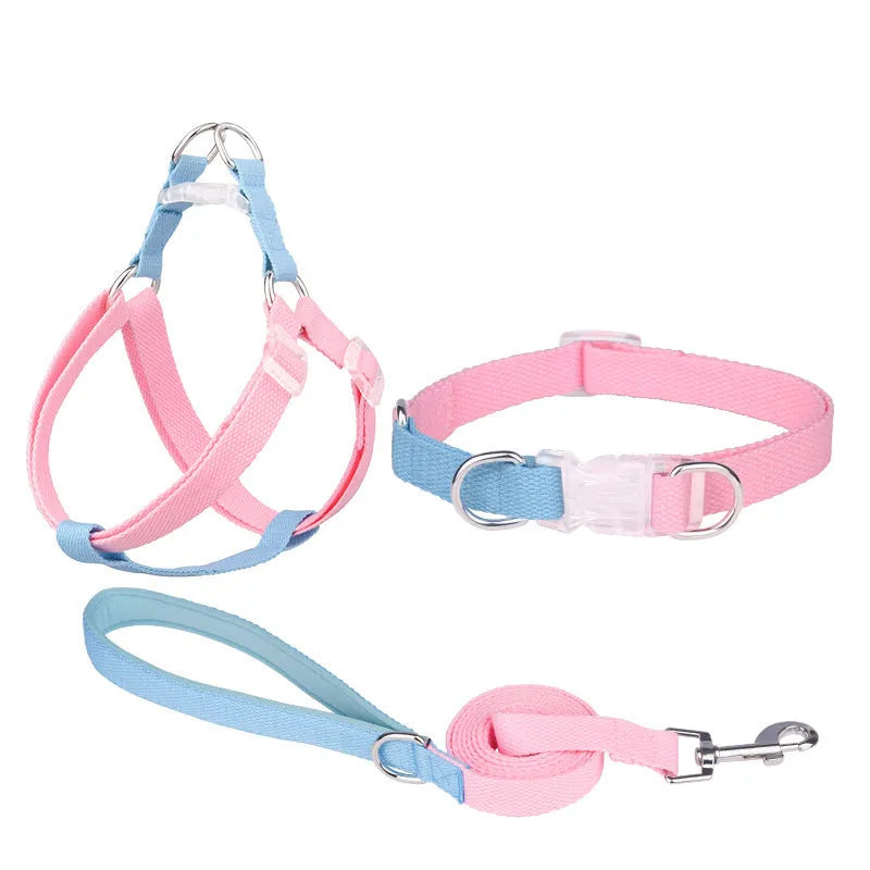 Polyester dog collar set with matching leash and chest strap in adjustable sizes