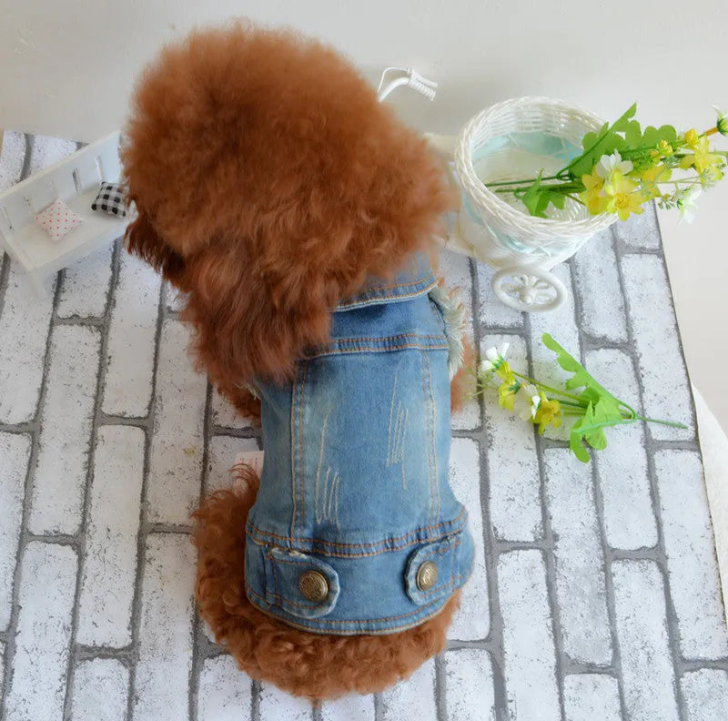 Retro scratch pattern denim vest for a small white dog on a model, showing dark and light colour options.