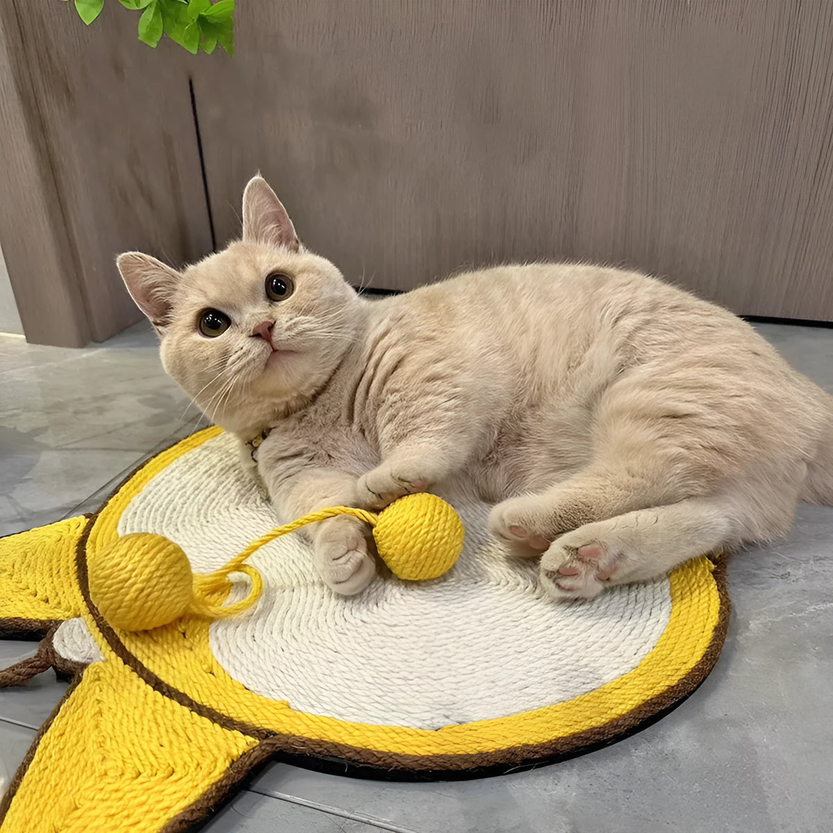 Yellow Corgi butt design cat scratch pad made from sisal with adhesive hooks and anti-slip base.