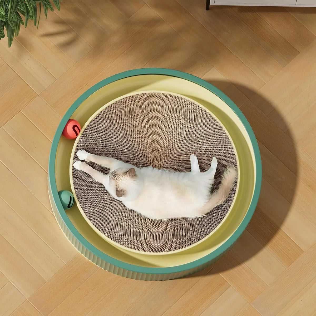 Large green and white cardboard cat scratching board with ball toys on a track.