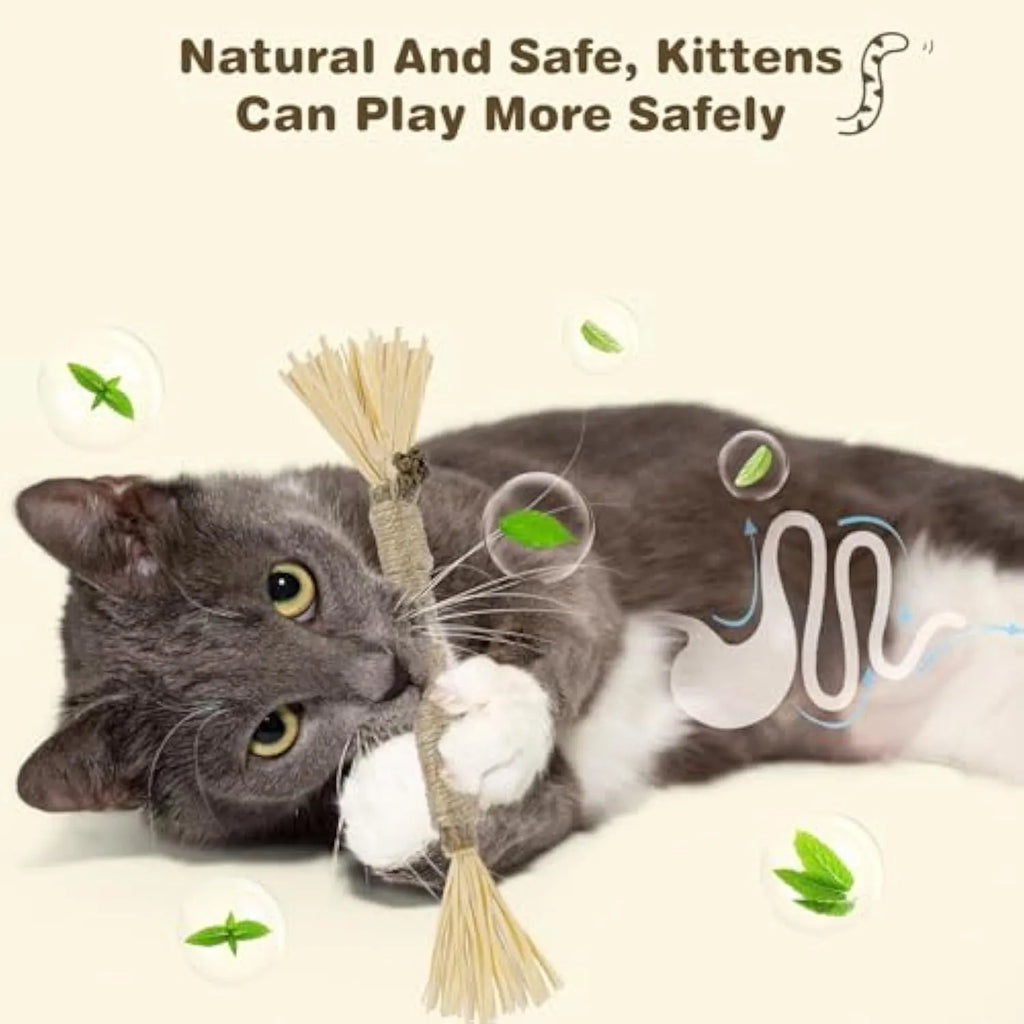 Three natural silvervine chew sticks for cats on a plain background, showing thick and fine diameter options.