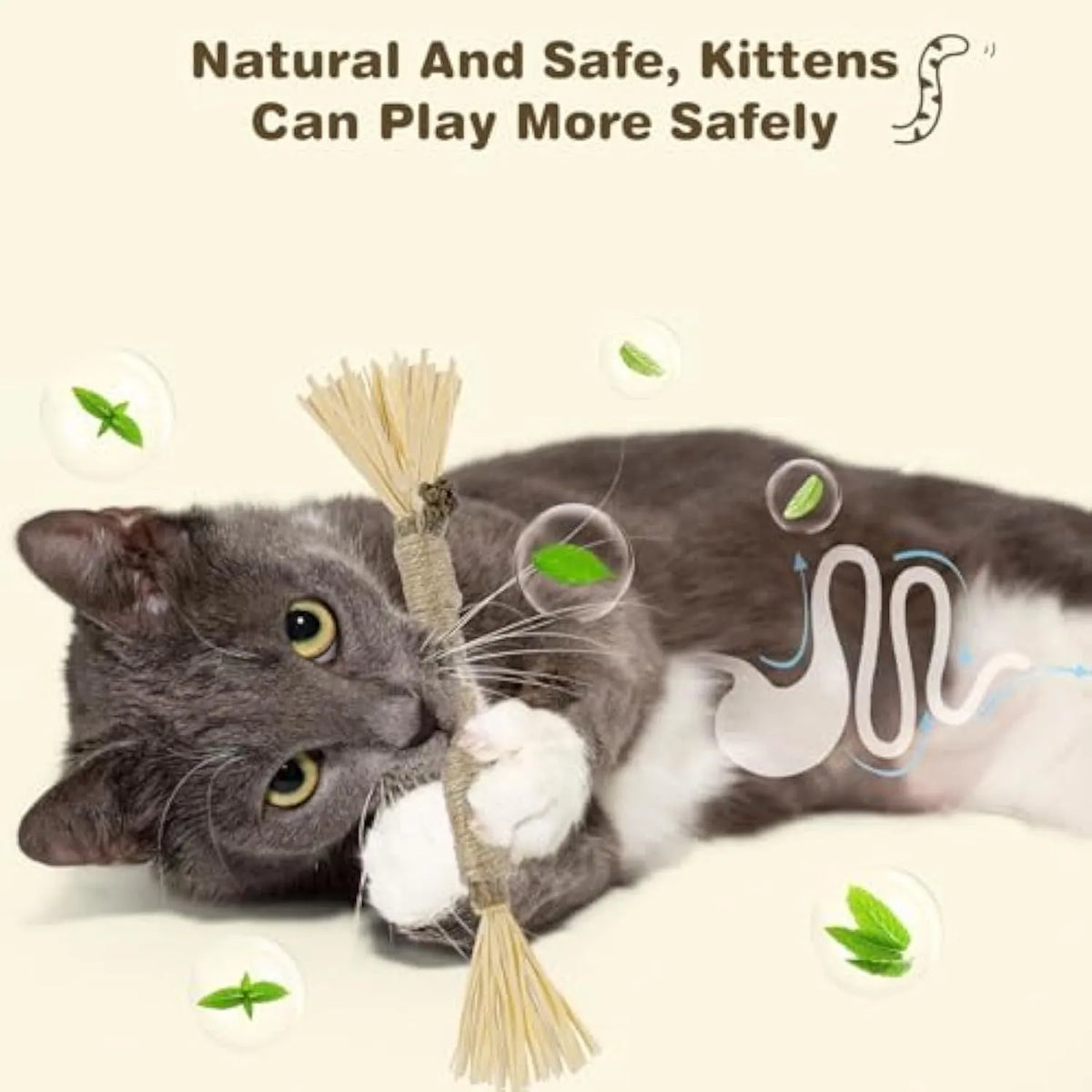 Three natural silvervine chew sticks for cats on a plain background, showing thick and fine diameter options.