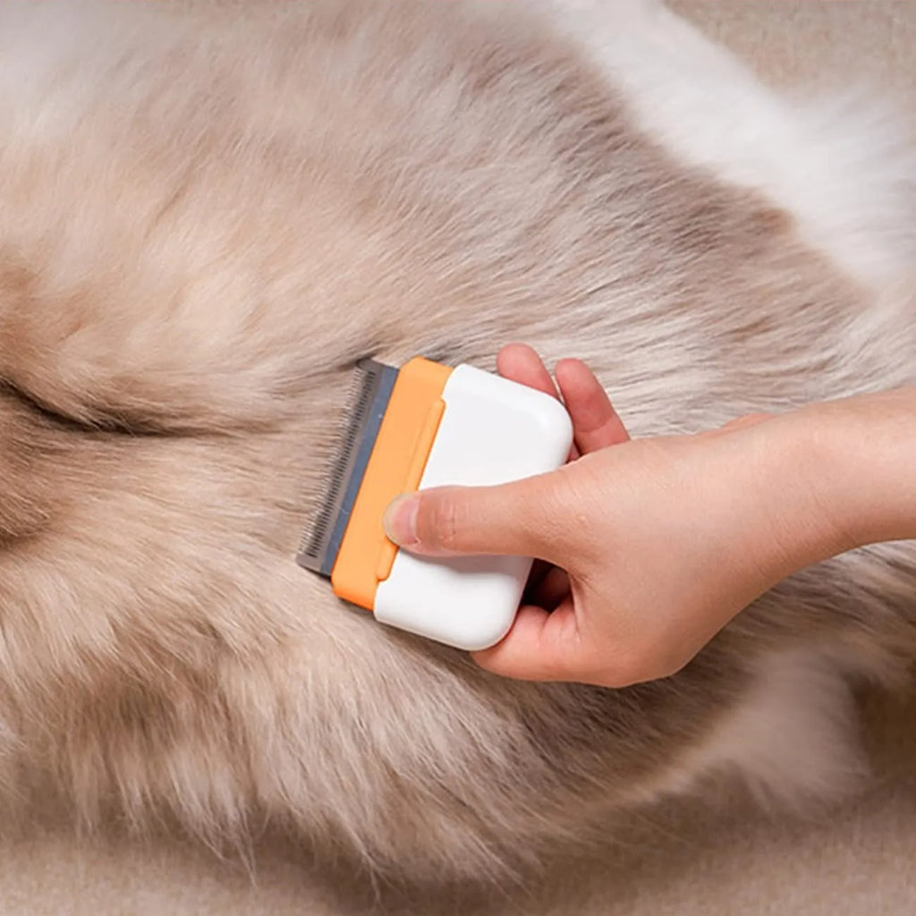 Blue double-sided pet grooming comb with stainless steel teeth for cats and dogs