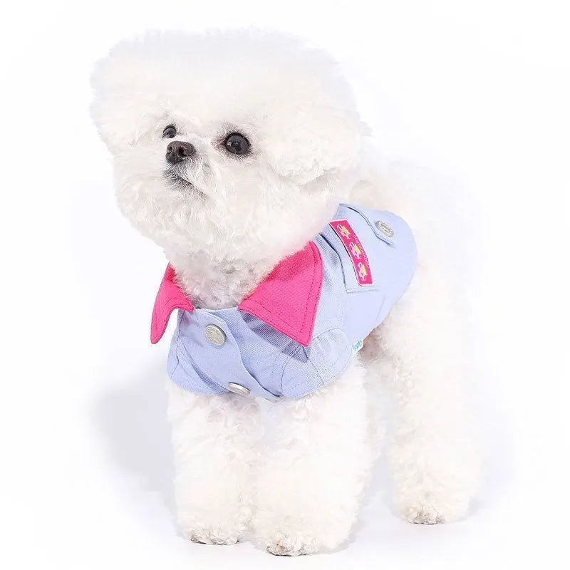 Blue and purple polyester dog harness vest with chest strap and back D-ring for small breeds.