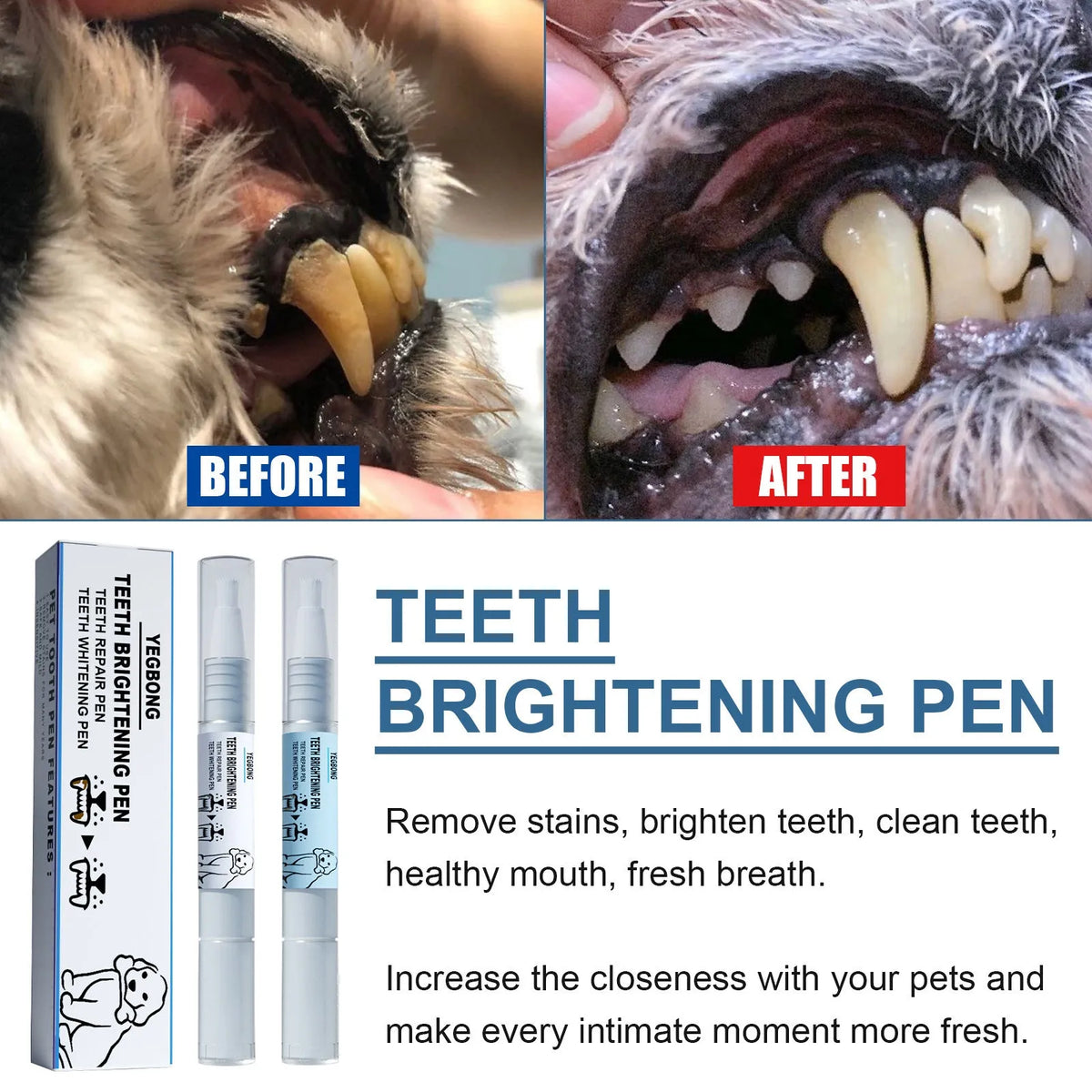 Pet teeth whitening pen with two dental brushes for dog and cat tartar control