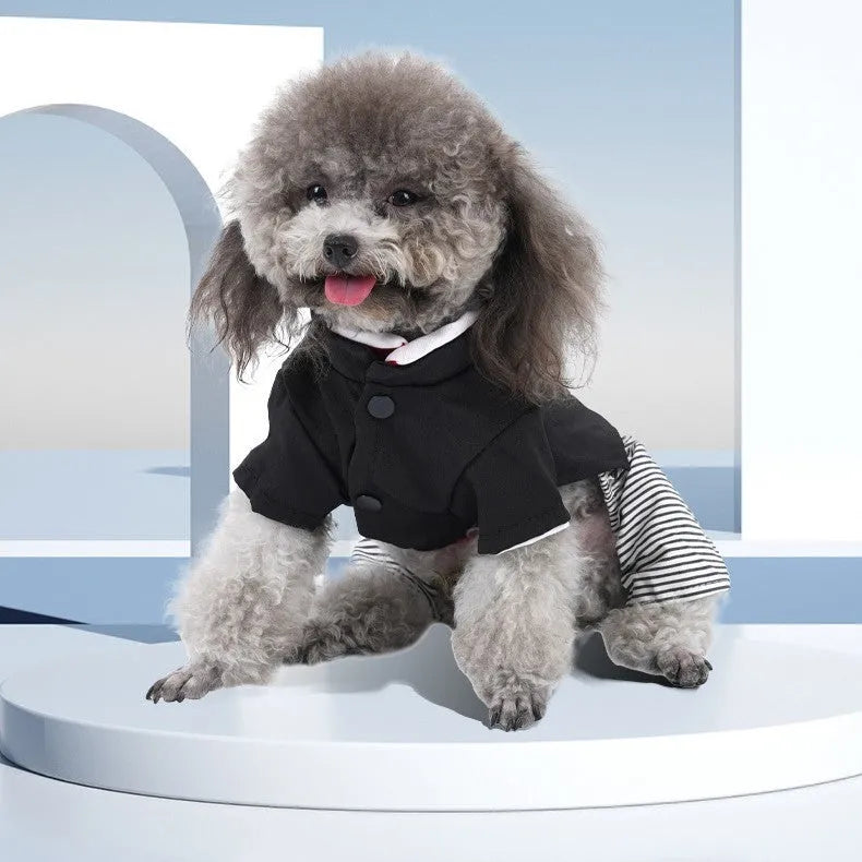 Cotton poodle dog clothes in four-legged pants and skirt styles for spring and autumn wear