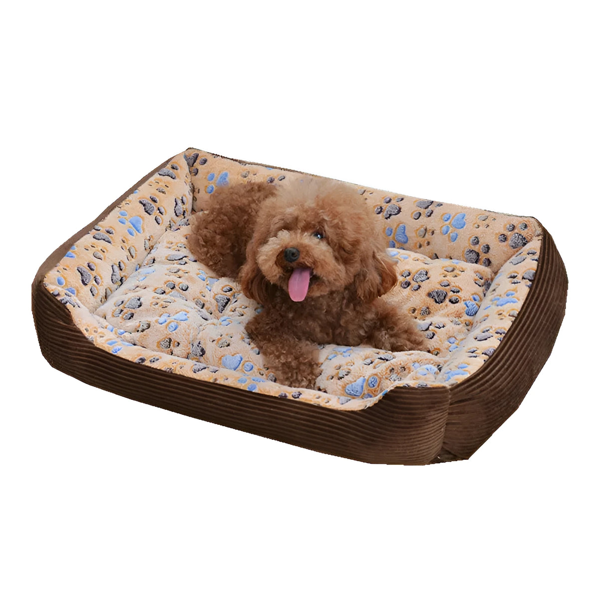Beige plush dog bed with a raised bolster edge for a small dog.