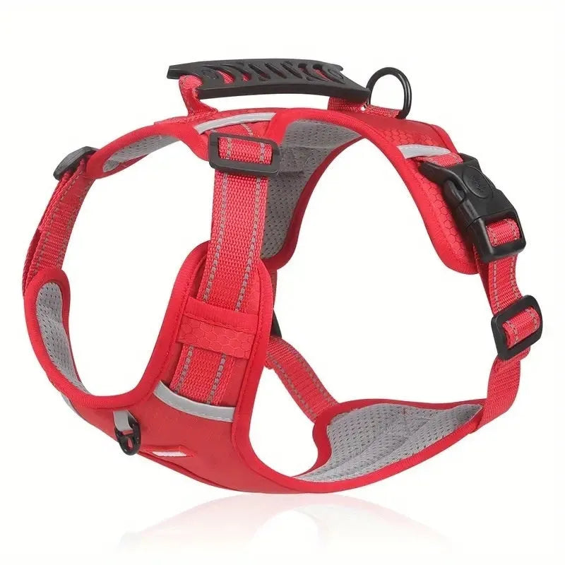 Polyester dog harness and lead set in multiple colours with chest strap design for walking control