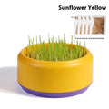 Hydroponic cat grass kit with coloured cup and five seed packs for soilless indoor growing