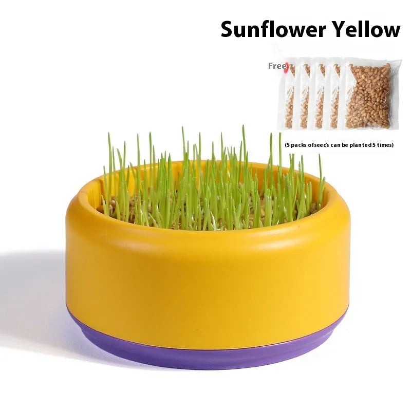 Hydroponic cat grass kit with coloured cup and five seed packs for soilless indoor growing