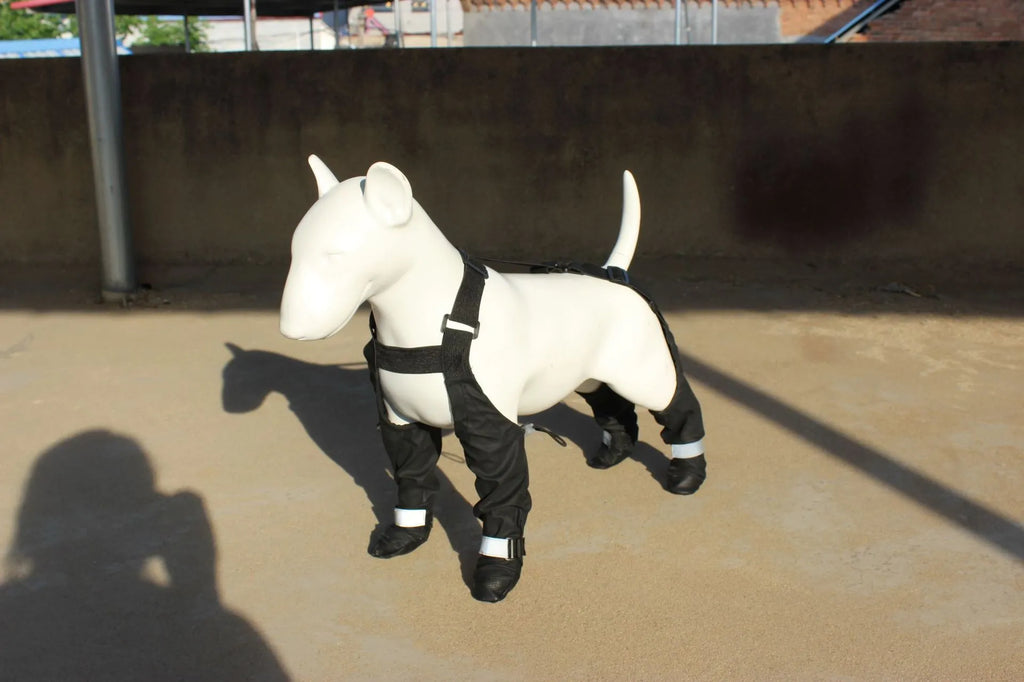 Black waterproof dog shoes with non-slip soles in six sizes for paw protection