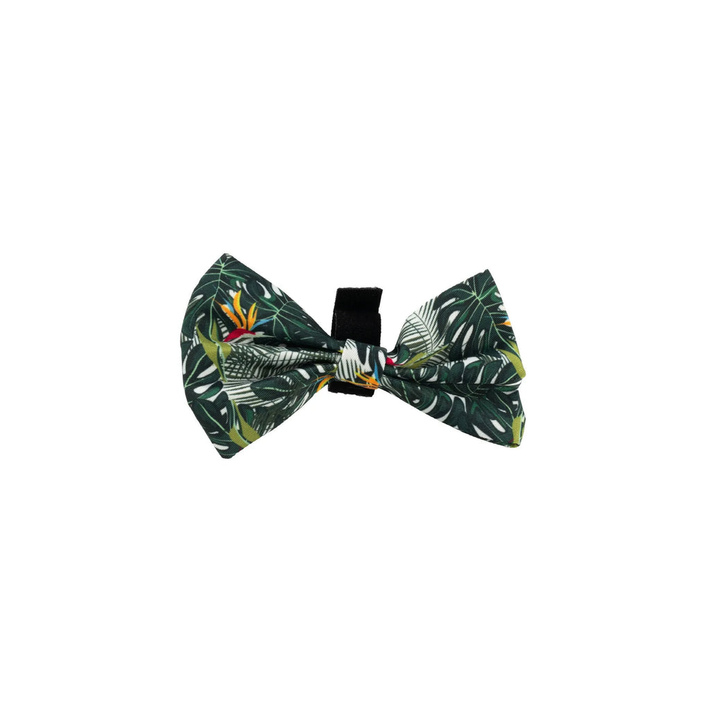 Adjustable cloth dog harness vest set with haulage rope, collar, waste bag, bow tie and triangle scarf accessories