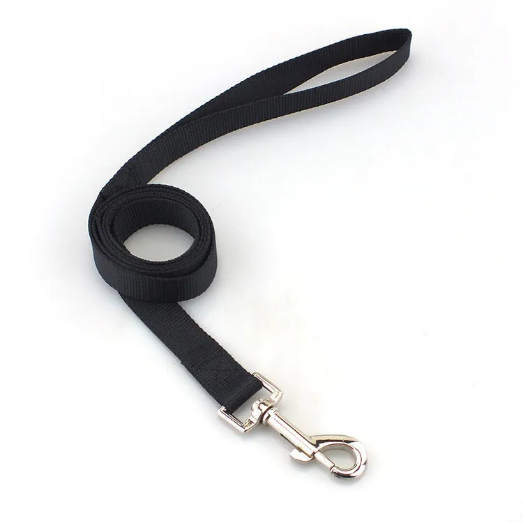 Blue polyester dog lead rope with a hand-holding loop, shown alongside other colour options including black, red, and grey.