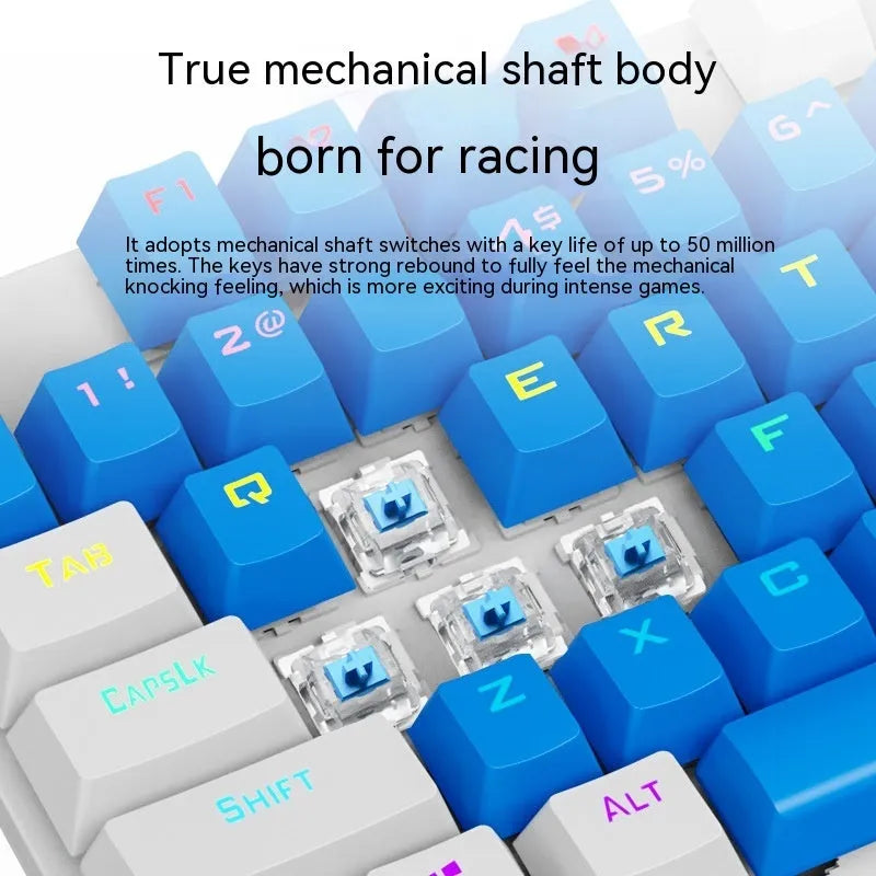 K87 tenkeyless mechanical keyboard with metal frame, shown in a Blue White colour option with Green switches.