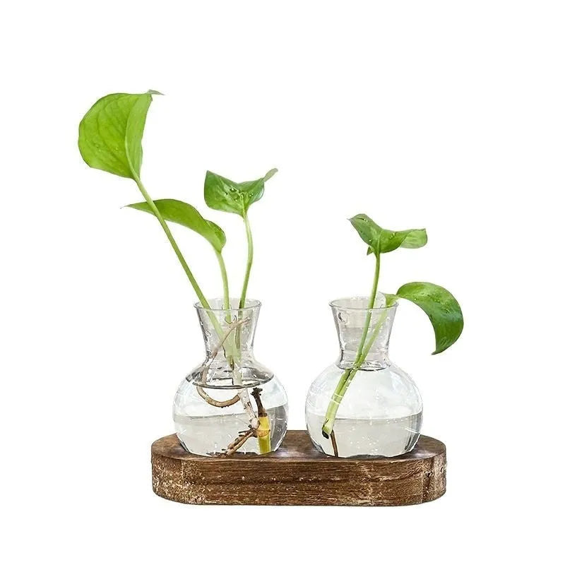 Wooden frame hydroponic vase decoration with transparent glass vases for indoor plants