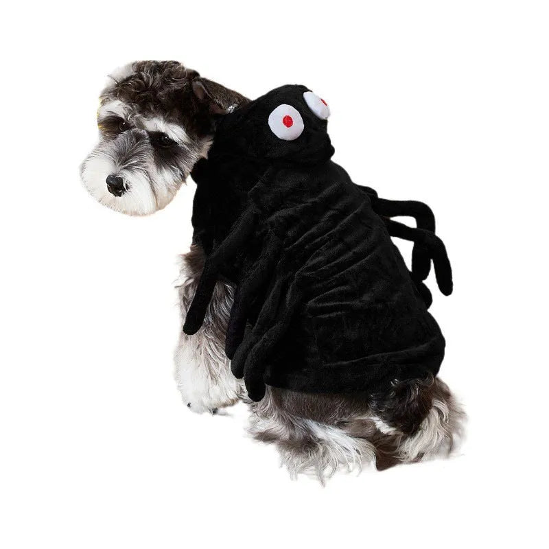 Dog wearing a black and white spider web print Halloween costume with elastic neck.