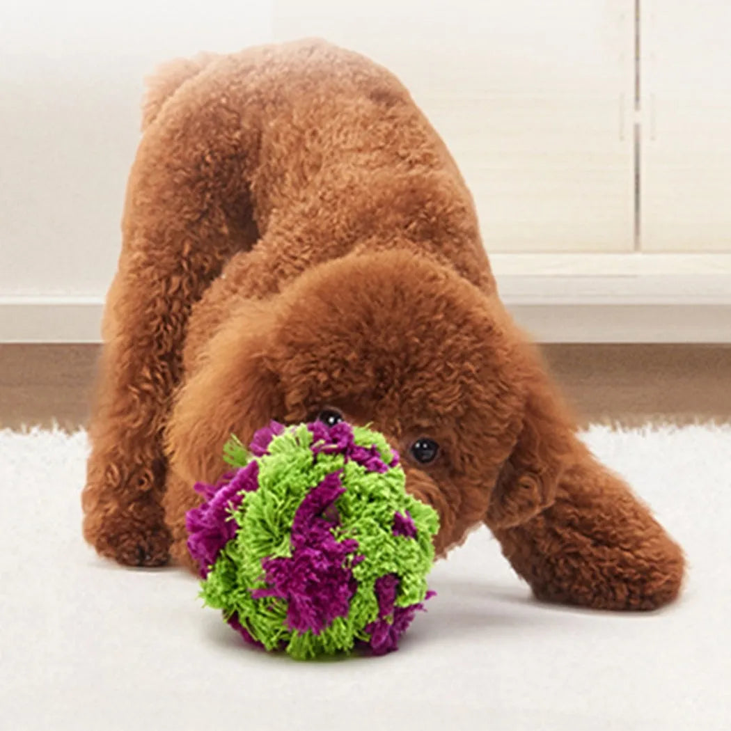 Purple plush dog ball with knotted seaweed texture measuring approximately 15cm diameter
