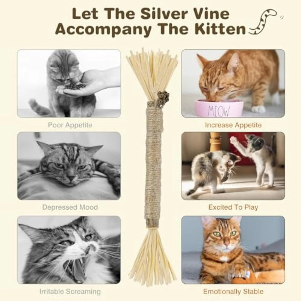Three natural silvervine chew sticks for cats on a plain background, showing thick and fine diameter options.