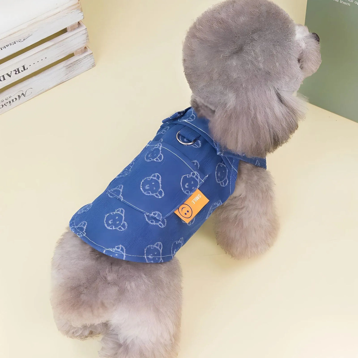 Small dog wearing denim princess dress with bracket-skirt style in classic denim colour