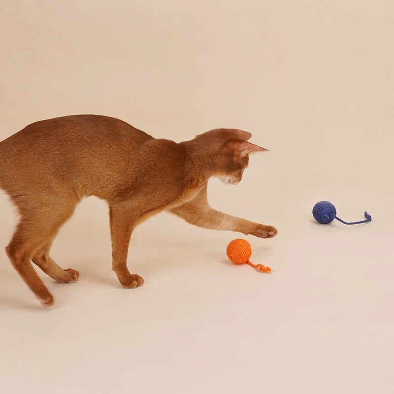 Cat toy set with bite-resistant teaser stick, catnip ball and interactive kitten toys in blue, green and red-yellow-blue colours