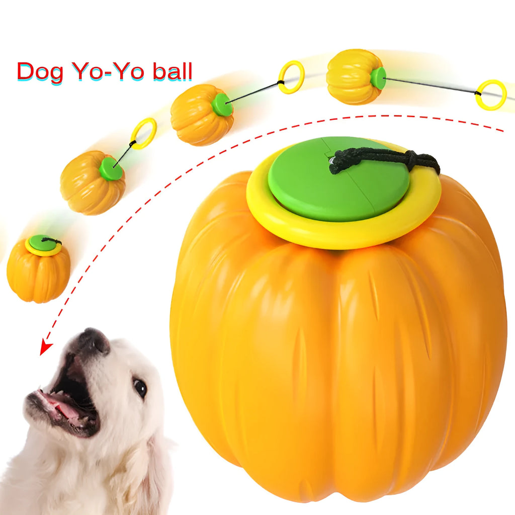 Green, orange, and yellow plastic squeaky pumpkin dog ball toy for small dogs, 68mm diameter.
