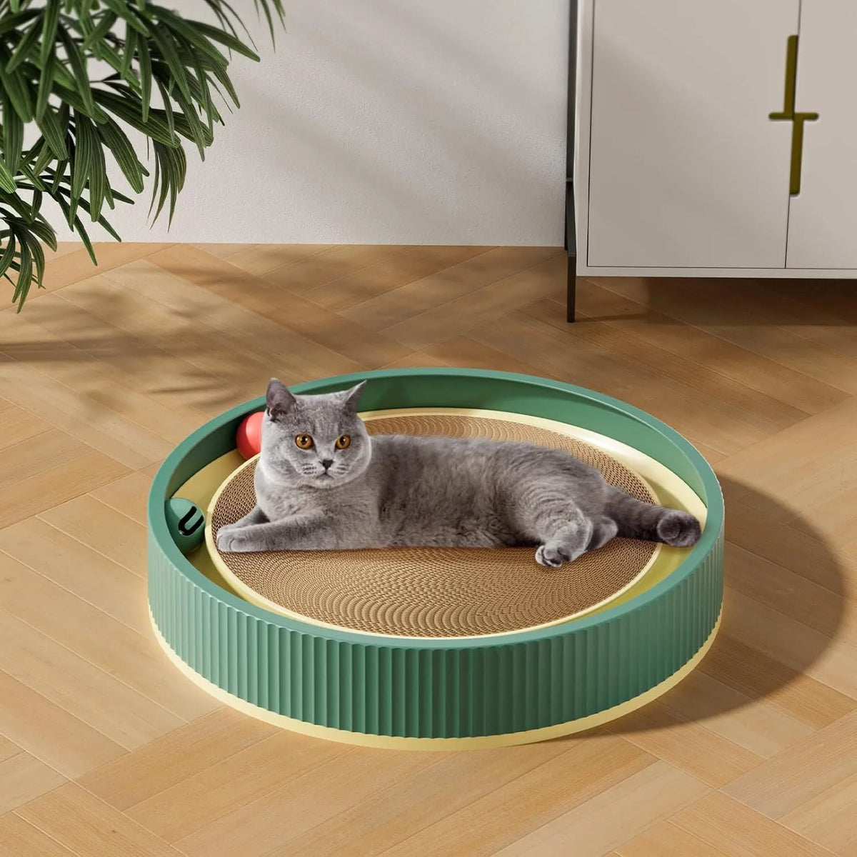 Large green and white cardboard cat scratching board with ball toys on a track.