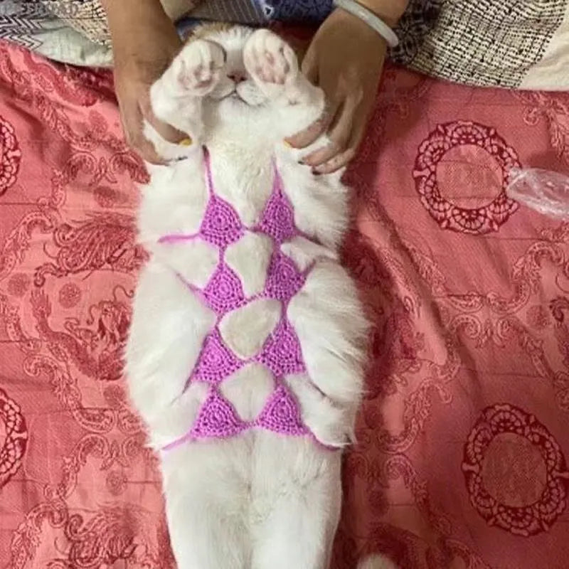 Cat wearing sweet style bikini costume set with bra top and underwear for Halloween dress up