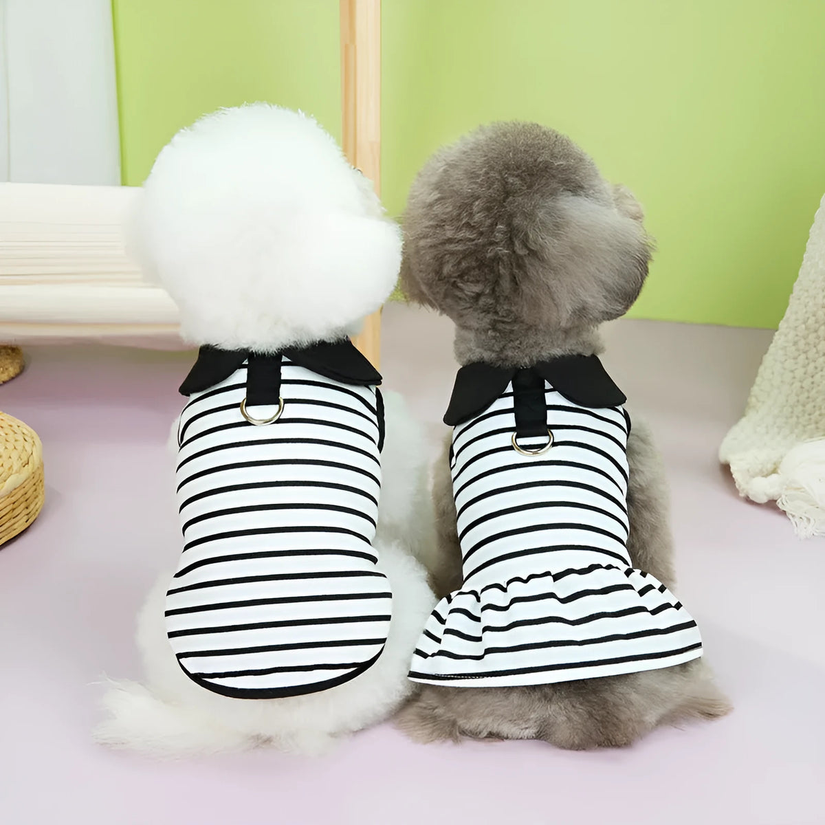 Pet wearing striped cotton t-shirt and skirt set in casual summer clothing