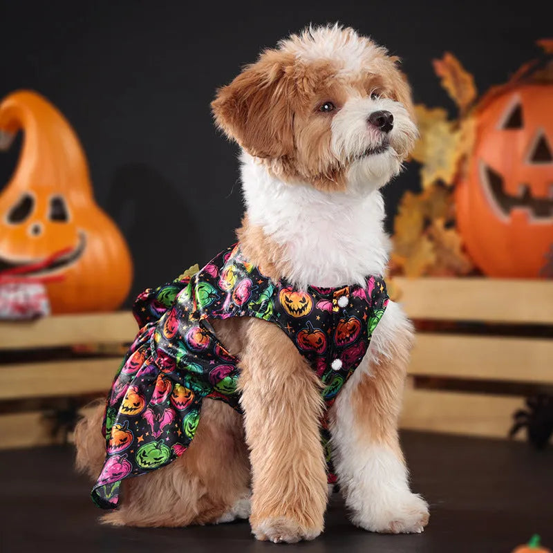 Halloween dog costume with angel wings in bright pumpkin orange or bat print design