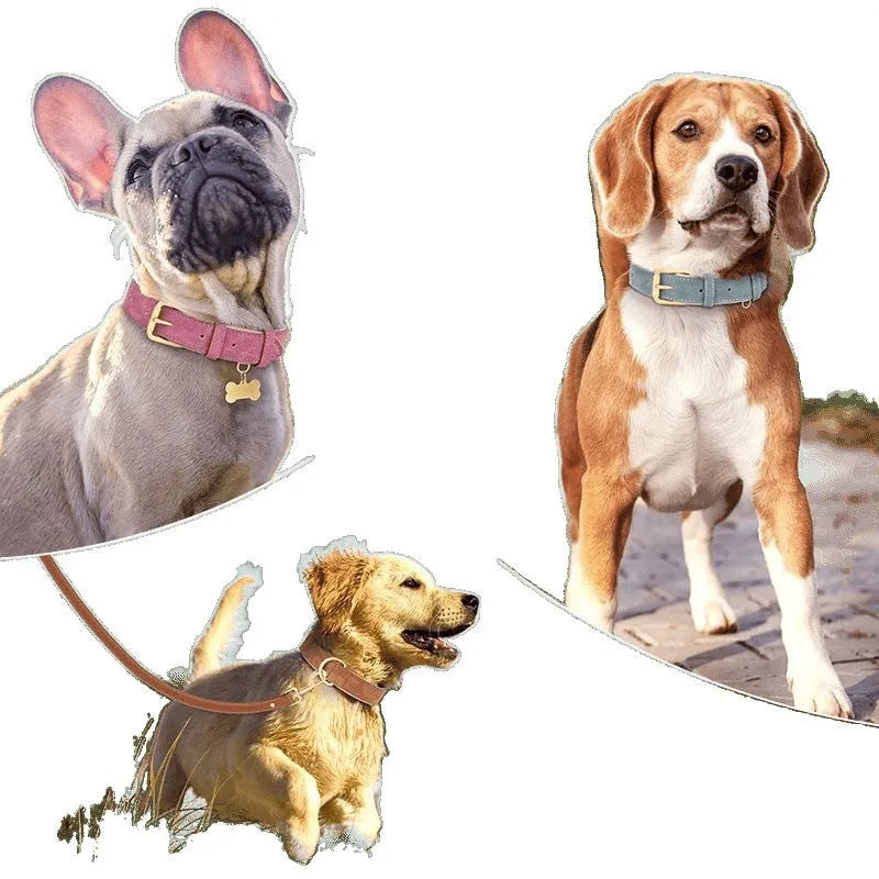Double-layer leather dog collar and matching leash in rose red, brown, or blue colours with weight-based sizing