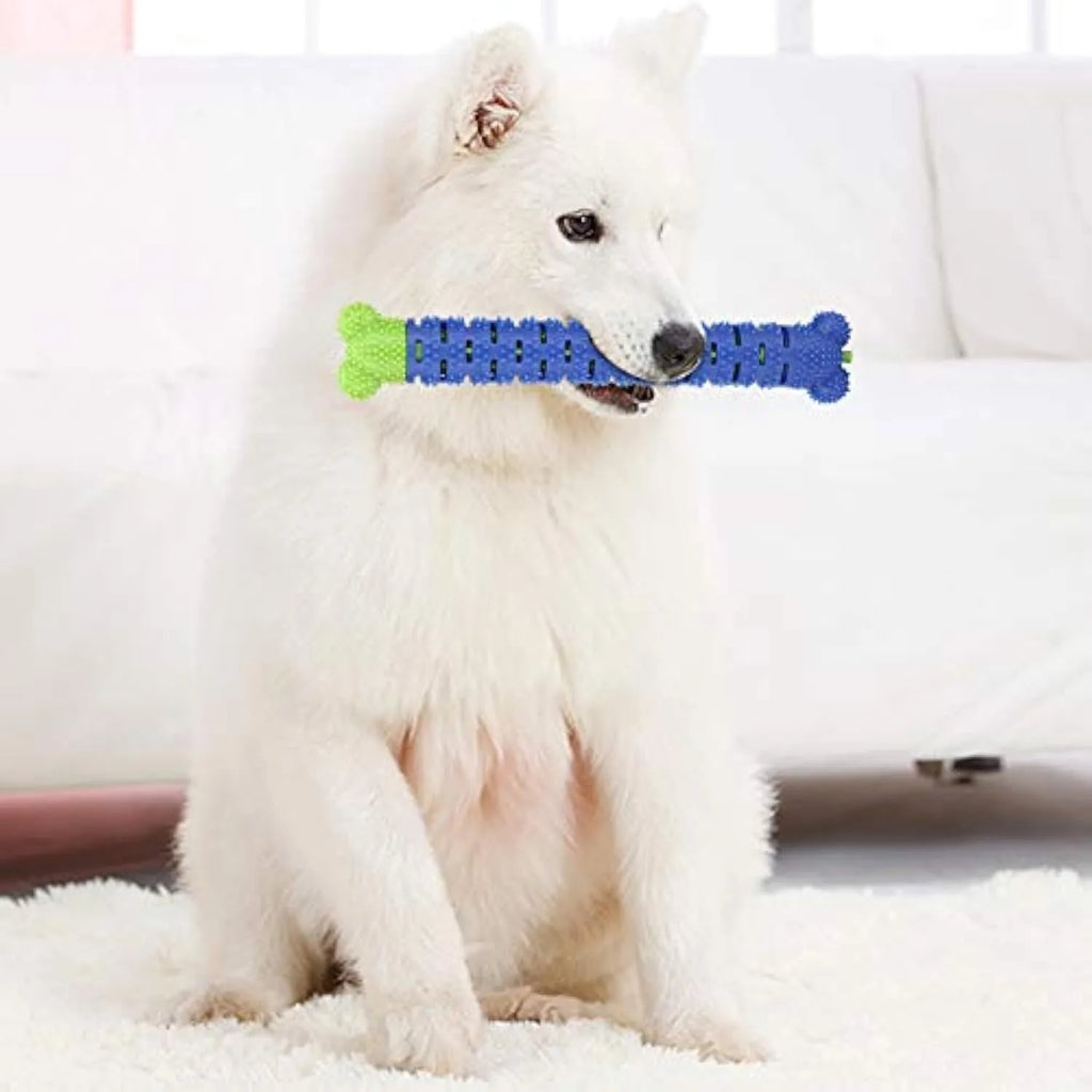 Blue green dog dental cleaning toy with brush head and massage nodules, 25cm long