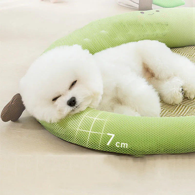 Green fruit-design pet bed with raised backrest, size L shown next to a teddy dog.