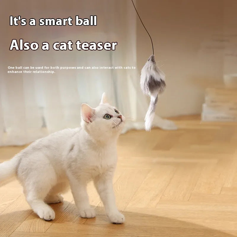 Blue orange and dark grey automatic cat teasing ball toy with plush mouse attachment on floor.